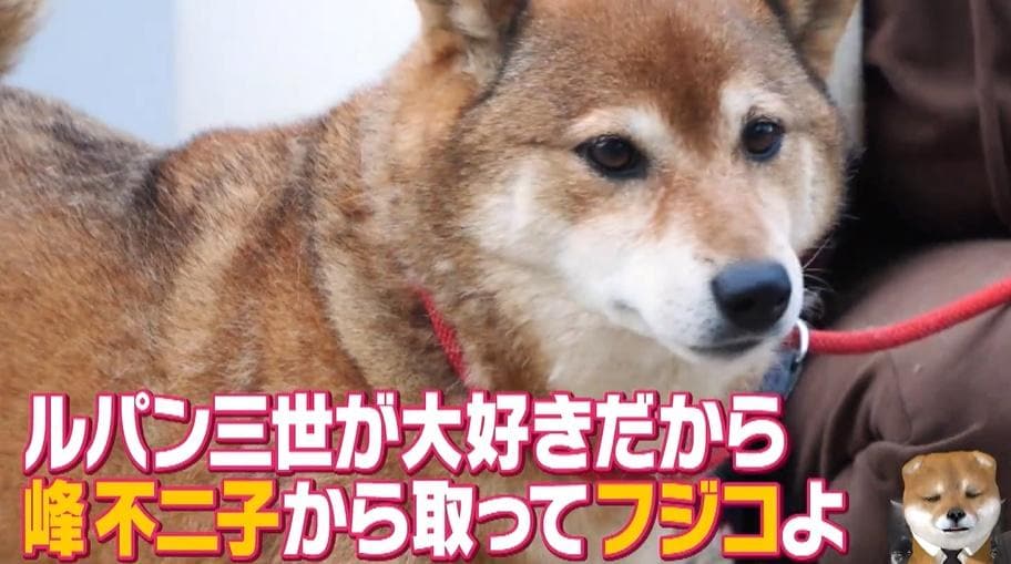 記事画像