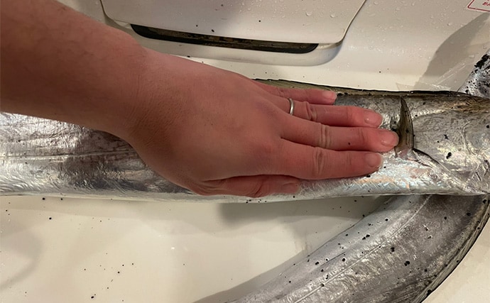 三保サーフでのショアジギングでF5クラス良型タチウオをゲット！【静岡】