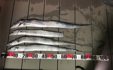 三保サーフでのショアジギングでF5クラス良型タチウオをゲット!【静岡】