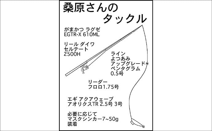 初心者も楽しめるティップラン入門！　三重エリアの実釣で基本とコツを解説