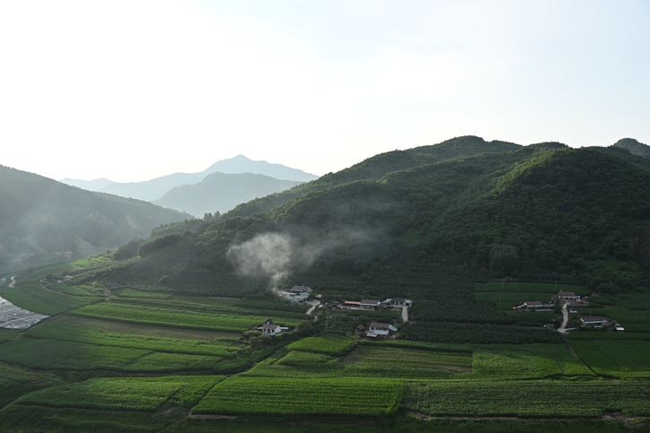 A serene North Korean village hugs the Yalu River, with wispy cooking smoke drifting over lush green fields under a soft morning sky.