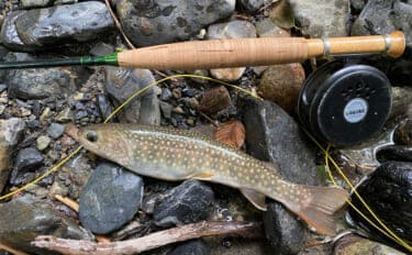 冬に渓流釣りが禁止されているワケ 冬は管理釣り場や冬季釣り場で楽しもう