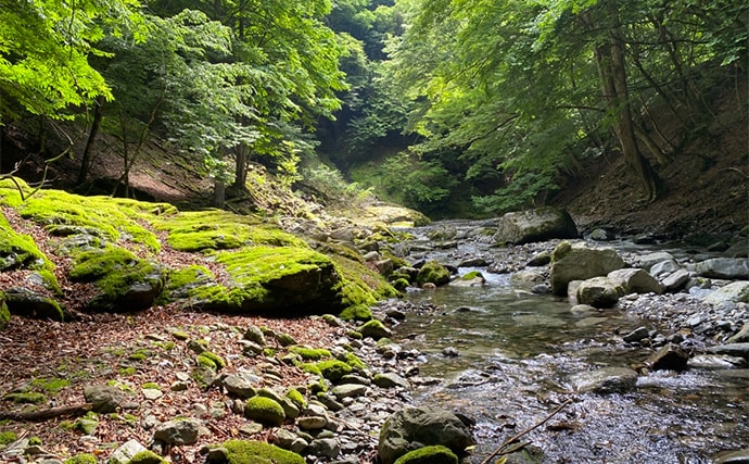 冬に渓流釣りが禁止されているワケ 冬は管理釣り場や冬季釣り場で楽しもう