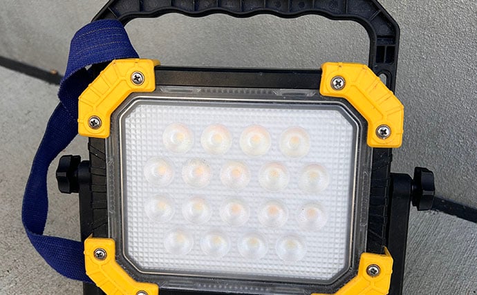 「堤防ヤリイカ釣りシーズン到来！」回遊の時合い逃さず1時間で5杯手中【福井】