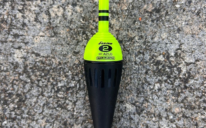 「堤防ヤリイカ釣りシーズン到来！」回遊の時合い逃さず1時間で5杯手中【福井】