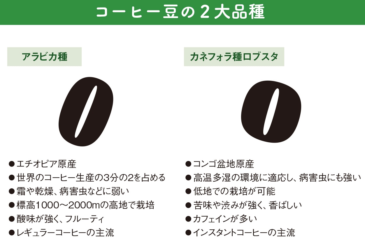 日本人が発明したインスタントコーヒーによって一気に儲けた国がある【図解 地理と経済の話】