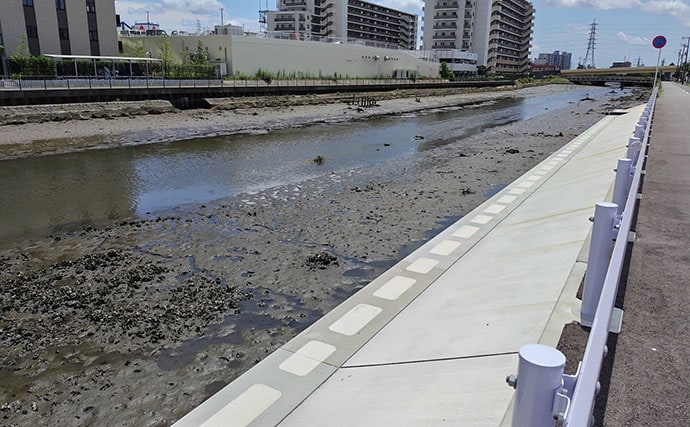 ガソリン価格急騰で釣り人のサイフと釣果も大ピンチ！ 今すぐ出来る対策3選とは？