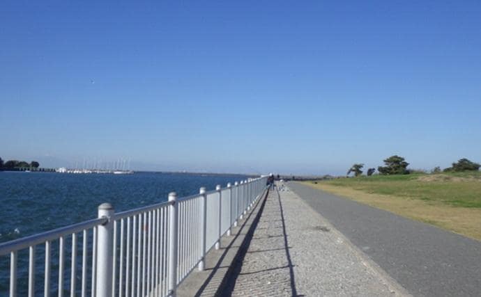 千葉県の落ちハゼ釣りで良型交じり本命51匹キャッチ！ 入れ食いタイムも満喫　