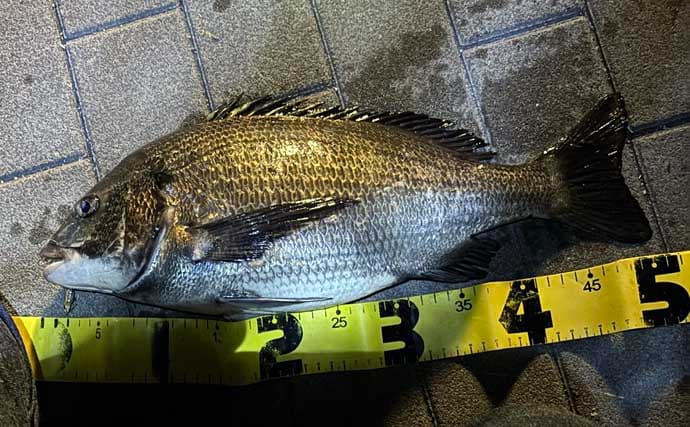 「デイゲームとナイトゲーム何が違う？」チニング攻略ならまずは夜がオススメ