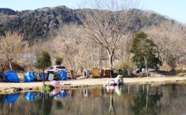 今週のヘラブナ推薦釣り場2026【神奈川・上大島ファミリー釣り場】