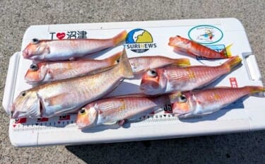 沼津沖のアマダイ釣りでシロ＆アカアマダイ両本命とご対面！【静岡】