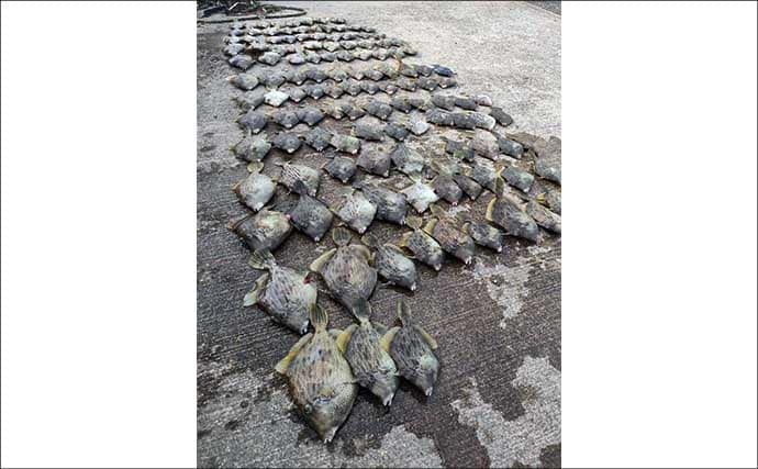 【沖釣り釣果速報】Wヒット連発！富山沖の船カワハギ釣りで肝パンサイズ続出（北陸）