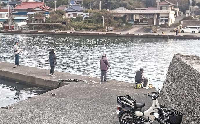 相浜漁港でまさかのシマアジ連発！【千葉県】陸っぱりサビキに高級魚ヒット
