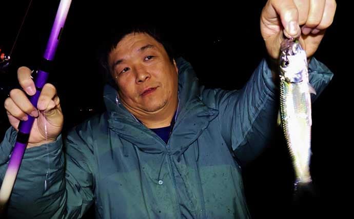 夕マヅメのサビキ釣りでアジ50匹超えとフィーバー！【三重】カタボシイワシも混じる