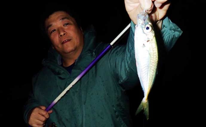 夕マヅメのサビキ釣りでアジ50匹超えとフィーバー！【三重】カタボシイワシも混じる