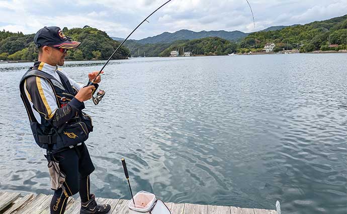 「青物猛攻を制す!」迫間浦の筏エギング懇親会でコウイカ520gを釣り上げて優勝【三重】