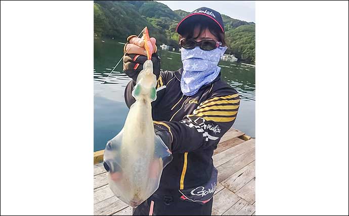 「青物猛攻を制す!」迫間浦の筏エギング懇親会でコウイカ520gを釣り上げて優勝【三重】