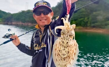 「青物猛攻を制す!」迫間浦の筏エギング懇親会でコウイカ520gを釣り上げて優勝【三重】