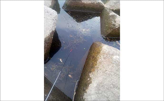 真冬の釣り場選びは「流れ・水深・水温」に注目　淡水小物釣りで入れ食いを堪能！