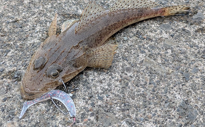 「秋の釣りは天気急変に注意！」荒天ロックフィッシュ釣行で見えた安全対策と攻略のヒント