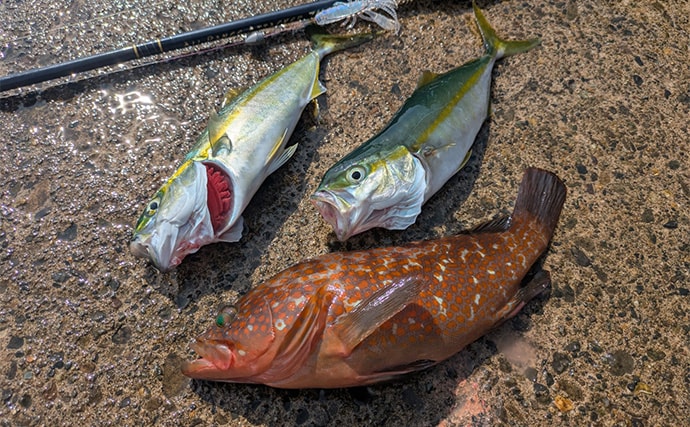 「秋の釣りは天気急変に注意！」荒天ロックフィッシュ釣行で見えた安全対策と攻略のヒント