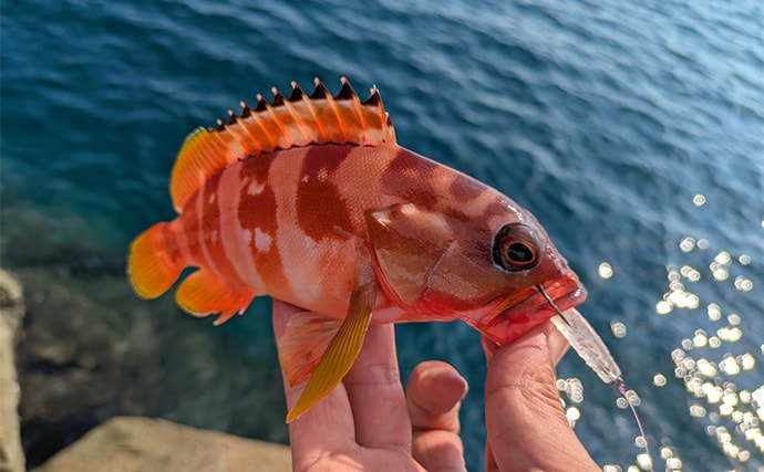 「秋の釣りは天気急変に注意！」荒天ロックフィッシュ釣行で見えた安全対策と攻略のヒント