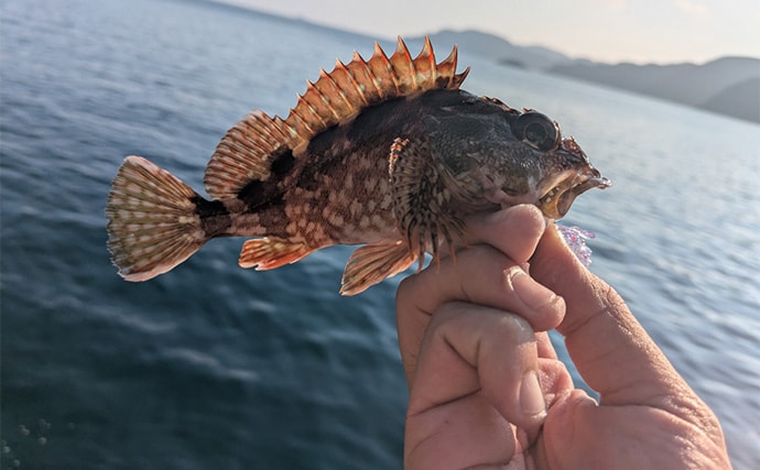 「秋の釣りは天気急変に注意！」荒天ロックフィッシュ釣行で見えた安全対策と攻略のヒント