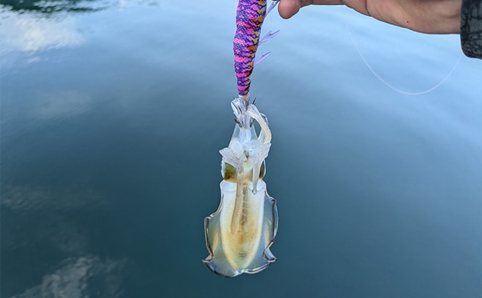 「秋の釣りは天気急変に注意！」荒天ロックフィッシュ釣行で見えた安全対策と攻略のヒント