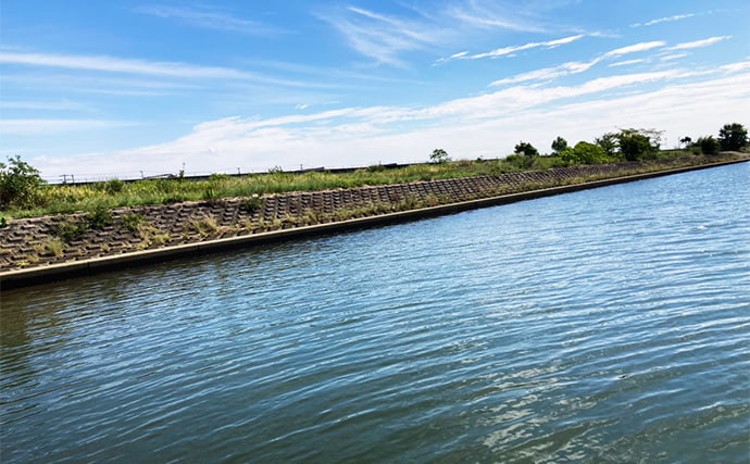 「20cm級マハゼが堂々浮上!」長良川河口の穴釣りで秋の高活性ハゼを狙う