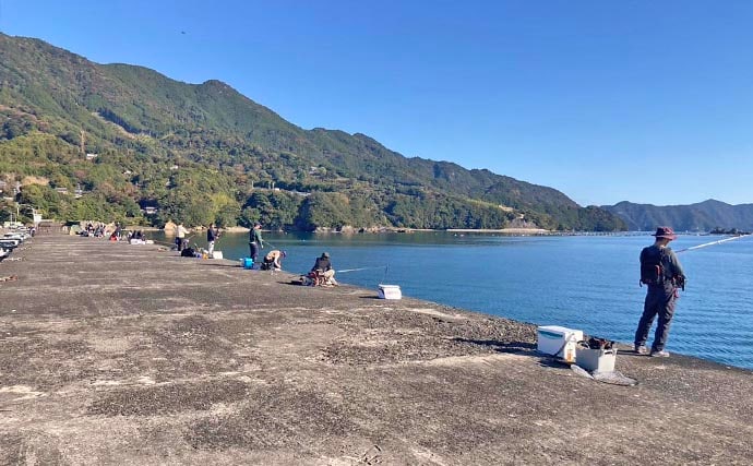 尾鷲港のメッキゲームで30cm超含みツ抜け達成！【三重】メタルジグで攻略