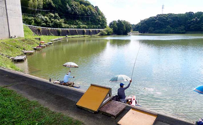 今週のヘラブナ推薦釣り場2025【静岡・西の谷池】