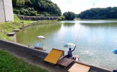 今週のヘラブナ推薦釣り場2025【静岡・西の谷池】