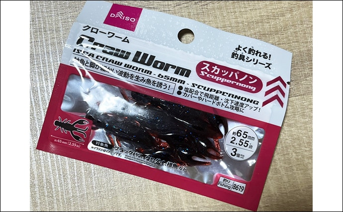 ダイソールアーだけで5魚種キャッチ達成!【静岡】メタルジグマイクロフラットは釣れる!