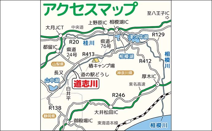 「尺ヤマメ・尺イワナも狙える！」道志川の渓流釣り場ガイド【山梨】入渓しやすい中流域を紹介