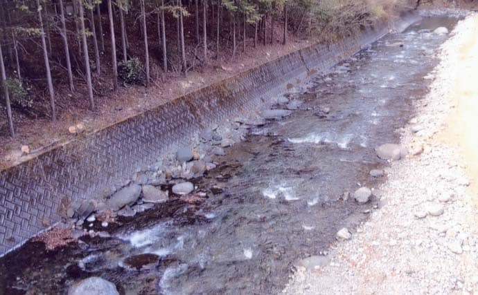 「尺ヤマメ・尺イワナも狙える！」道志川の渓流釣り場ガイド【山梨】入渓しやすい中流域を紹介