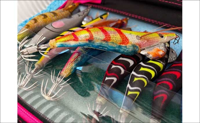 「初のアオリイカ釣るまで10ヶ月！」エギングで釣果を上げるには強い精神力が必要？