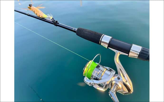 「初のアオリイカ釣るまで10ヶ月！」エギングで釣果を上げるには強い精神力が必要？