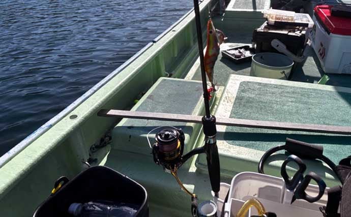 「初のアオリイカ釣るまで10ヶ月！」エギングで釣果を上げるには強い精神力が必要？