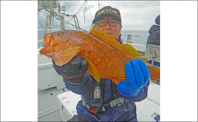 宗像沖の落とし込み釣りで良型ラッシュ!【福岡】ハマチ3kg・アコウ1.5kg・カンパチ2.5kg登場