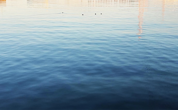 ライトゲームにおける潮止まり打開策　リグの小型＆軽量化が決め手か