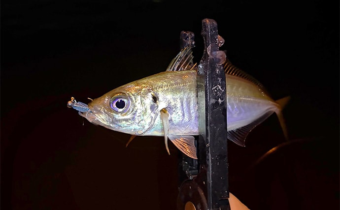 ライトゲームにおける潮止まり打開策　リグの小型＆軽量化が決め手か