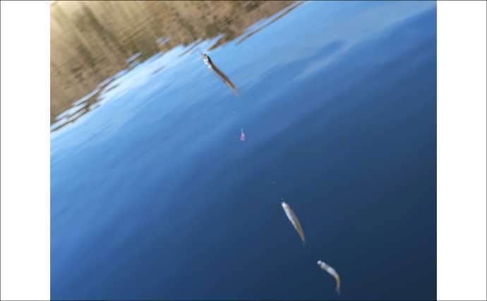 「絶景と釣果を両取り!」精進湖ワカサギ釣りガイド【山梨】富士山を望む静寂の人気レイク