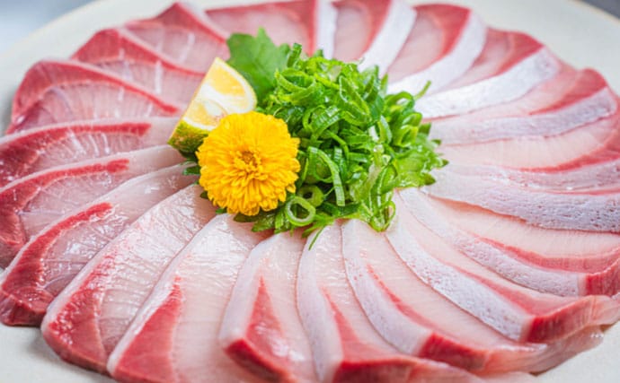 養殖技術の救世主！　大分県の「かぼすブリ」が克服した養殖魚の弱点とは？