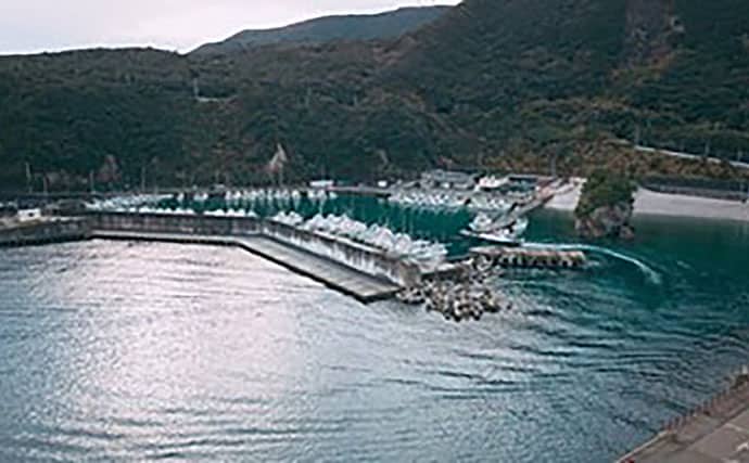 「釣りを始める前に読んで欲しい！」 釣りの長所・短所・体験する手段を解説