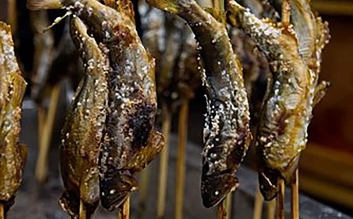 「釣りを始める前に読んで欲しい！」 釣りの長所・短所・体験する手段を解説