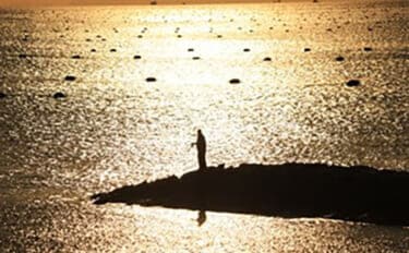 「釣りを始める前に読んで欲しい！」 釣りの長所・短所・体験する手段を解説