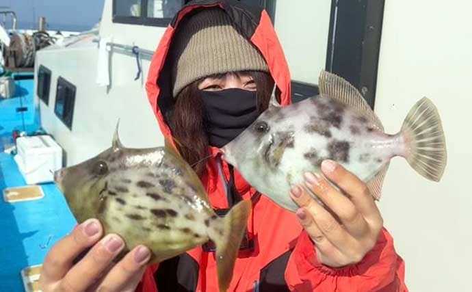 大分沖のカワハギ釣りで42尾の爆釣！　ゲストにまさかの50cmイシダイも乱入