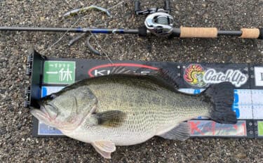 バス釣りにおける【アルコナイトリングのメリット・デメリット】　廉価版と侮ることなかれ