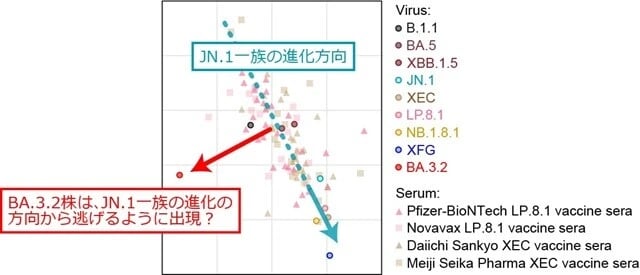 ある科学雑誌に発表した論文に載せた図のひとつ。ワクチン接種で誘導された中和抗体の「交叉性」や「類似性」を図示したものの引用・改変。ややこしい図ですが、この図が意味することは本文で解説しています。