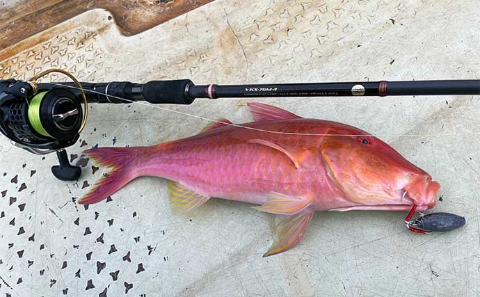 「200円以下で誰でも作れるルアー仕掛け」高級根魚が入れ食い!【沖縄・伊是名島】